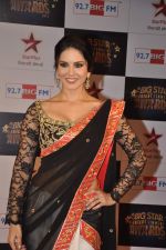 Sunny Leone at Big Star Awards red carpet in Andheri, Mumbai on 18th Dec 2013